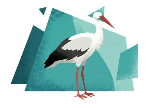  Ilustração Congresso Animal 7
